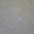 2012-04-28 16.29.11